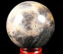 Polished, Black Moonstone Sphere - Madagascar #78934-1